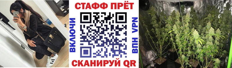 Гашиш Саров
