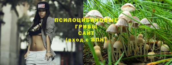 экстази Арсеньев