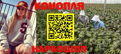 стафф Заводоуковск