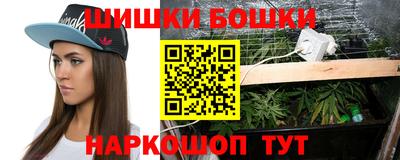стафф Заводоуковск