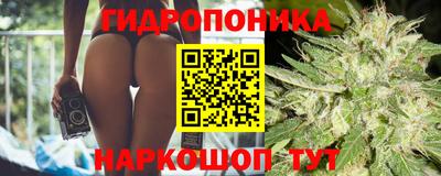 прущие крисы Заволжье