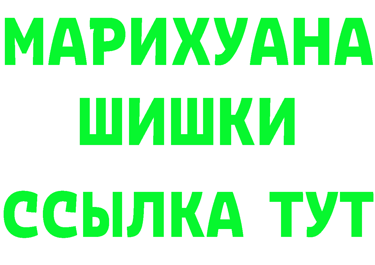 МЯУ-МЯУ VHQ вход площадка MEGA Саров