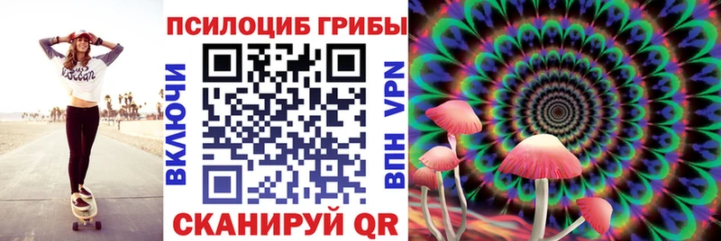 Псилоцибиновые грибы ЛСД  кракен вход  Саров 