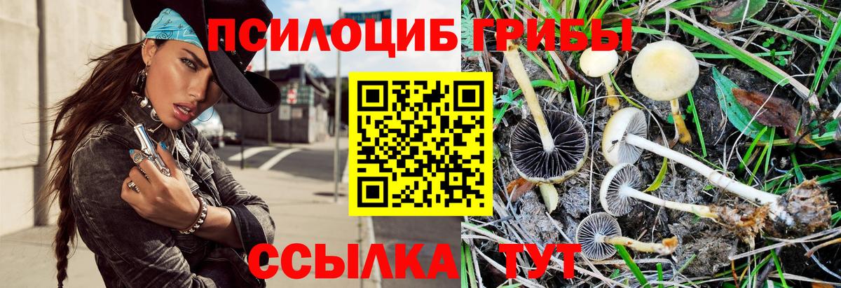 Галлюциногенные грибы MAGIC MUSHROOMS Саров