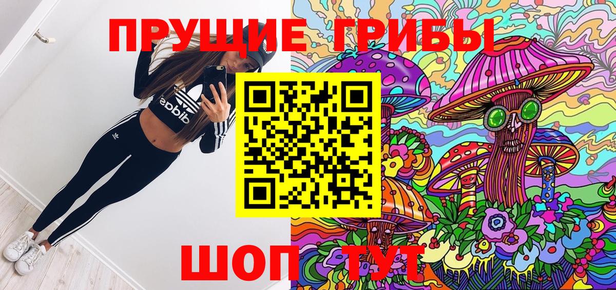 Галлюциногенные грибы Psilocybe Саров