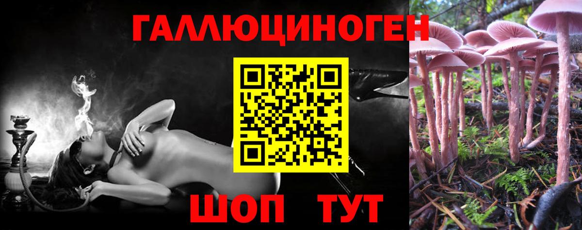 Псилоцибиновые грибы Cubensis  Саров  Галлюциногенные грибы прущие грибы 