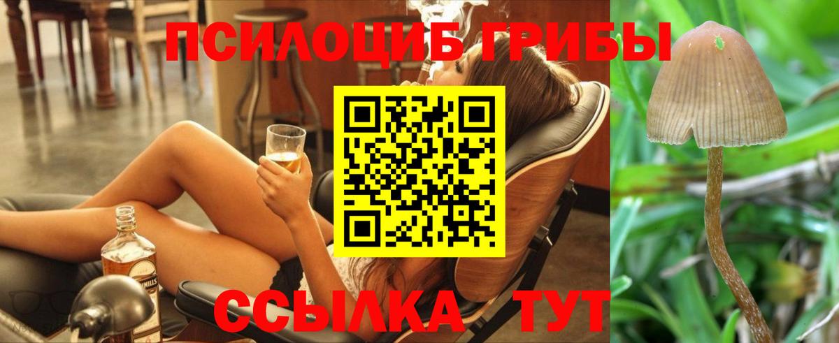 Псилоцибиновые грибы Magic Shrooms  Псилоцибиновые грибы мухоморы  Саров  Вход с VPN 